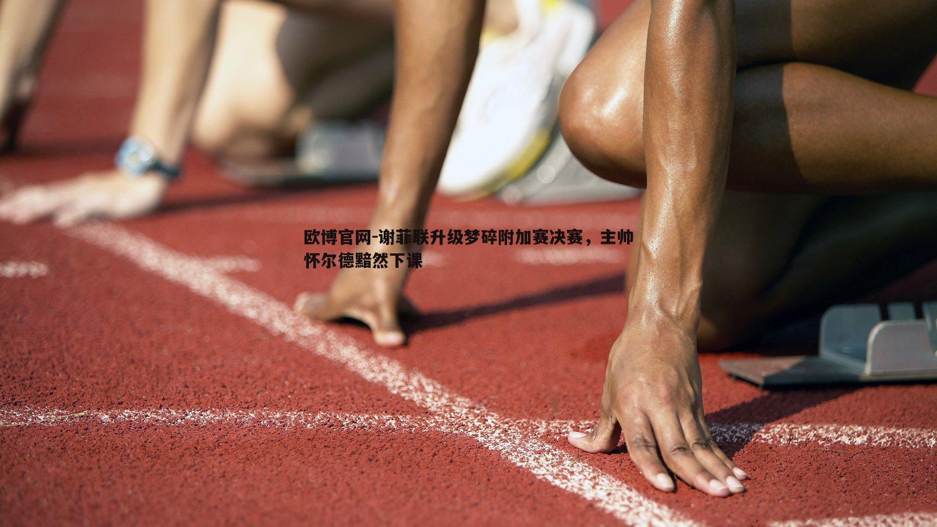 谢菲联升级梦碎附加赛决赛，主帅怀尔德黯然下课
